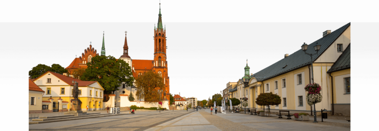 firma montująca sufity podwieszane