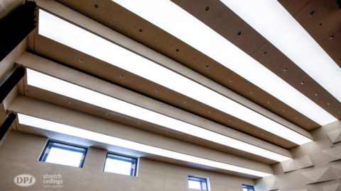 zastosowanie stylu dps light